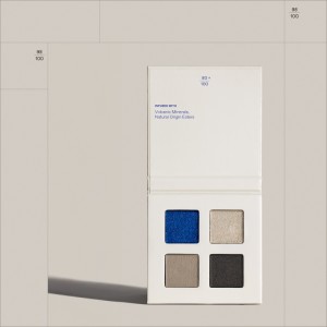  Real Color Palette Ombres à Paupières 02 Smokey Sea 